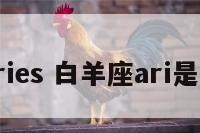 白羊座aries 白羊座ari是什么意思
