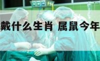 属鼠今年佩戴什么生肖 属鼠今年佩戴什么辟邪