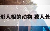 猿形人相的动物 猿人长相
