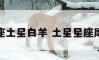 摩羯座土星白羊 土星星座摩羯女