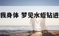 梦见水蛭钻我身体 梦见水蛭钻进全身各处被梦惊醒