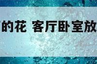 适合卧室客厅的花 客厅卧室放什么花净化空气