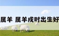 戍时属羊 属羊戍时出生好不好