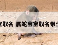 属蛇宝宝取名 属蛇宝宝取名带什么字好