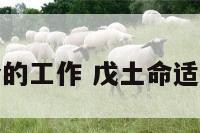戊土命适合的工作 戊土命适合什么工作