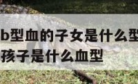 o型血和ab型血的子女是什么型 o型血与ab型血的孩子是什么血型