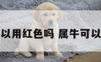 属牛的人可以用红色吗 属牛可以佩戴红色吗