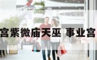 女命事业宫紫微庙天巫 事业宫 紫薇天相