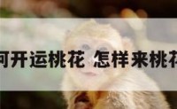 如何开运桃花 怎样来桃花运