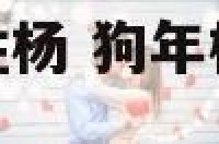 属狗男娃娃名字姓杨 狗年杨姓男宝宝名字大全