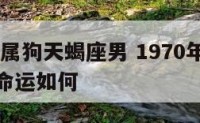 1970年属狗天蝎座男 1970年属狗天蝎座男命运如何