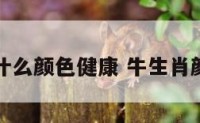 生肖牛什么颜色健康 牛生肖颜色宜忌
