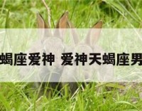 天蝎座爱神 爱神天蝎座男生