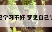 梦到自己学习不好 梦见自己学业不好