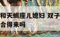 双子座婆婆和天蝎座儿媳妇 双子座婆婆和天蝎座儿媳妇合得来吗