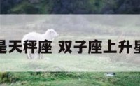 上升星座是天秤座 双子座上升星座对照表