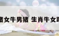 属牛跟属猪女牛男猪 生肖牛女跟生肖猪男