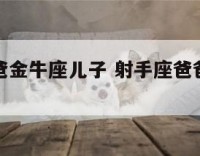 射手座爸爸金牛座儿子 射手座爸爸和金牛座女儿
