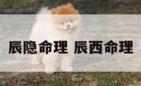 辰隐命理 辰西命理