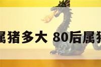 八零后的属猪多大 80后属猪的几岁了