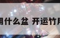 开运竹养殖用什么盆 开运竹用什么营养液