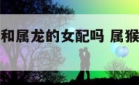 属猴的男人和属龙的女配吗 属猴男人和属龙女人婚姻