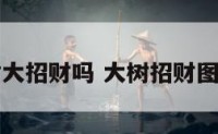 树大招财吗 大树招财图片