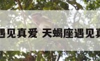 天蝎座遇见真爱 天蝎座遇见真爱反应