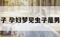 孕妇梦见虫子 孕妇梦见虫子是男孩还是女孩