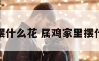 属鸡房间摆什么花 属鸡家里摆什么花招财