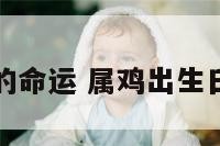 属鸡出生日的命运 属鸡出生日命运星座屋
