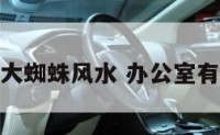 办公室大蜘蛛风水 办公室有大蜘蛛