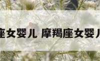 摩羯座女婴儿 摩羯座女婴儿命运