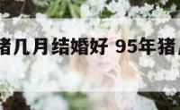 1995属猪几月结婚好 95年猪几月份结婚好