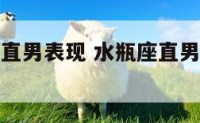 水瓶座男生直男表现 水瓶座直男适合怎样的妻子