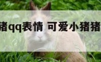可爱的小猪qq表情 可爱小猪猪的图片 头像