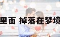 掉落在梦境里面 掉落在梦境里面怎么办