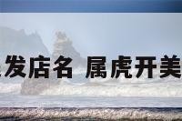 属虎人美发店名 属虎开美容院取名