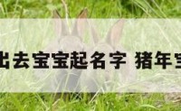给猪年出去宝宝起名字 猪年宝宝取名