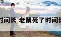 老鼠死了时间长 老鼠死了时间长了会臭吗