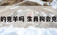属狗的克羊吗 生肖狗会克羊吗