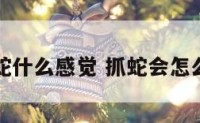 抓蛇什么感觉 抓蛇会怎么样