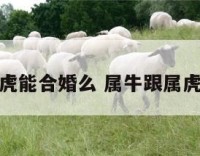 属牛跟属虎能合婚么 属牛跟属虎合不合适