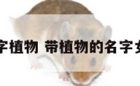 女性名字植物 带植物的名字女孩名字
