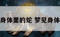 梦到拉出身体里的蛇 梦见身体内拉出蛇