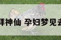 孕妇梦见去拜神仙 孕妇梦见去拜神仙磕头