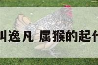 属猴的叫逸凡 属猴的起什么外号