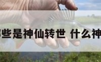 中国哪些是神仙转世 什么神仙转世