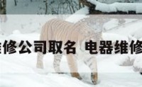 电器维修公司取名 电器维修店起名