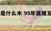 95年属猪是什么木 95年属猪五行什么命什么木
